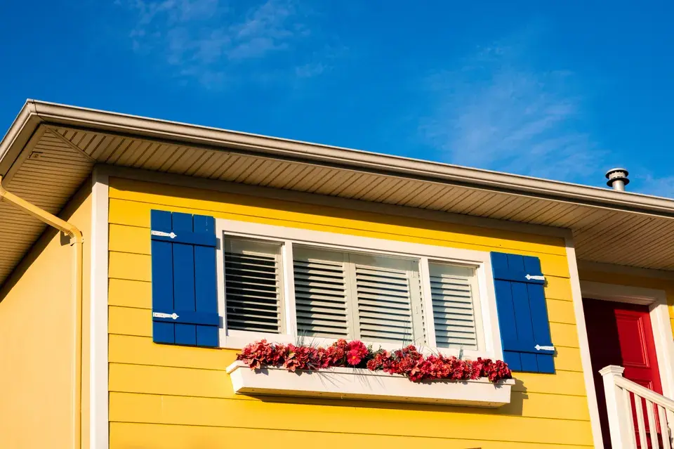 mold removal McGregor